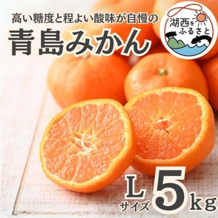 【先行受付】【2027年1月より順次出荷予定】青島みかん約5kg Lサイズ〔鈴木農園〕_果物・フルーツ みかん  ミカン 蜜柑_【1510101】