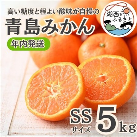 【年内発送】【12月より順次出荷予定】青島みかん約5kg SSサイズ〔鈴木農園〕_果物・フルーツ みかん  ミカン 蜜柑_【1510102】
