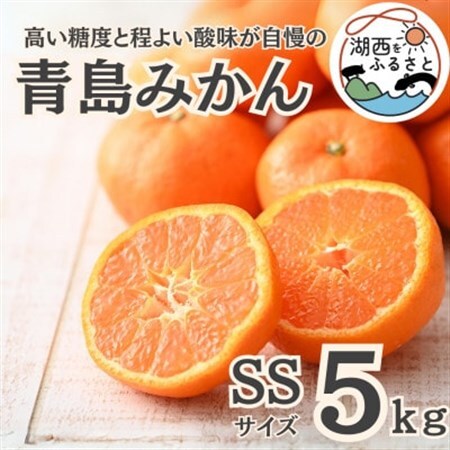 【先行受付】【2027年1月初旬頃より順次出荷予定】青島みかん約5kg SSサイズ〔鈴木農園〕_果物・フルーツ みかん  ミカン 蜜柑_【1510107】