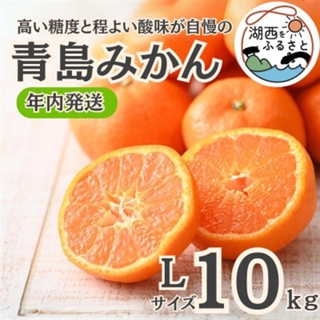 【年内発送】【12月中旬より順次出荷予定】青島みかん約10kg Lサイズ〔鈴木農園〕_果物・フルーツ みかん  ミカン 蜜柑_【1510114】