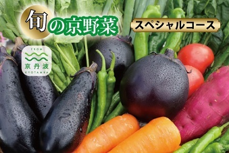 [京丹波の野菜]旬の京野菜セット スペシャルコース[ 野菜 野菜詰め合わせ 野菜セット 京野菜 ] [015KH003]