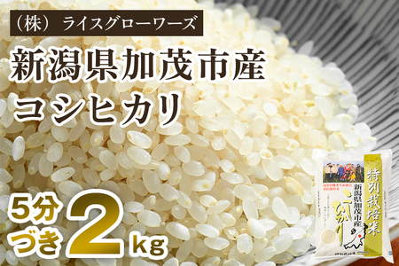 [令和8年産新米先行予約][5分づき]新潟県 加茂市産 特別栽培米コシヒカリ 精米2kg[10月上旬〜順次出荷] (株)ライスグローワーズ