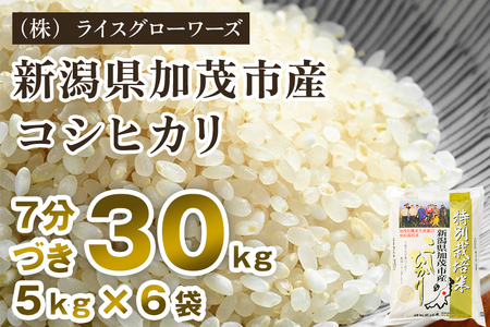 【令和8年産新米】【7分づき】 新潟県 加茂市産 特別栽培米コシヒカリ 精米30kg（5kg×6）《順次出荷》 （株）ライスグローワーズ