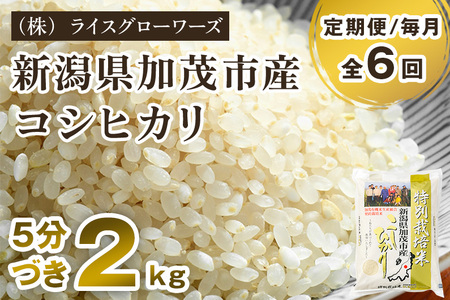 【令和8年産新米先行予約】【定期便6ヶ月毎月お届け】【5分づき】新潟県加茂市産 特別栽培米コシヒカリ 精米2kg《10月上旬～順次出荷》 従来品種コシヒカリ （株）ライスグローワーズ