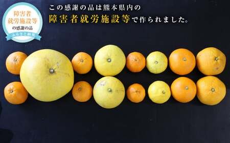 わくわくするおれんじセット 5～6種類のみかんセット 約6kg 柑橘 みかん 蜜柑 【2027年1月下旬発送開始】