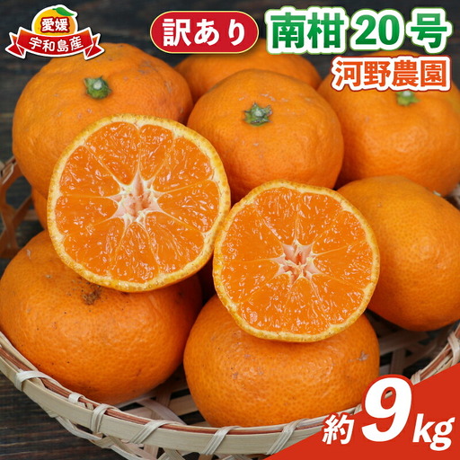 訳あり 南柑20号 9kg 河野農園 温州みかん みかん 人気のみかん 美味しい 濃厚 温州蜜柑 愛媛みかん 愛媛蜜柑 愛媛ミカン 蜜柑 mikan 温州 柑橘 果物 くだもの 訳アリ 訳あり品 訳有り わけあり フルーツ 産地直送 数量限定 先行予約 国産 宇和島