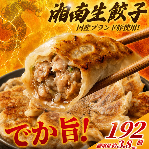 ブランド豚使用 湘南生餃子 192個 約3.8kg【 餃子 ぎょうざ 】