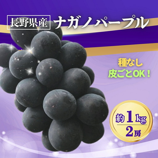 【2026年先行予約】ナガノパープル 約1~1.2kg(2房) | ナガノパープル