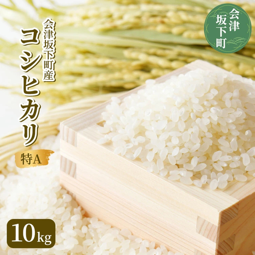 21-J 会津坂下町産コシヒカリ10kg（令和7年産米）（白米）
