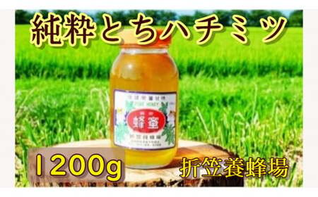 6-A とちハチミツ 1200g 折笠養蜂場