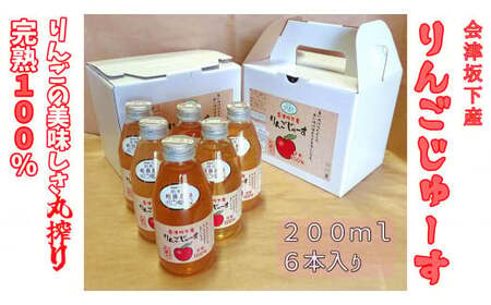 16-N りんごジュース200ml6本入り×2箱 (品種違い組み合わせ)小箱セット 相良農場