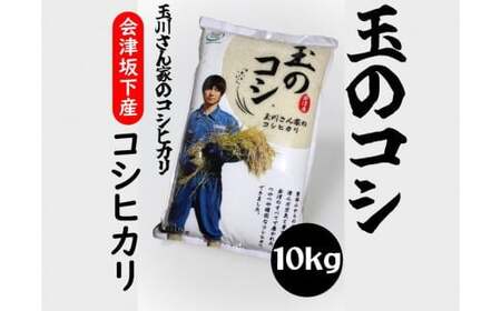 36-A 玉のコシ（玉川さんちのコシヒカリ）（令和7年産米）会津坂下産コシヒカリ 白米10kg×1袋（株）T.Farming ※沖縄・離島への配送不可　※2025年10月中旬頃より順次発送予定