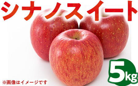 50-E りんご 5kg シナノスイート 伊藤りんご園 ※2026年10月～発送