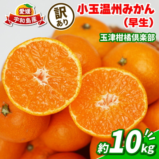 みかん 訳あり 小玉 温州みかん 早生 10kg 玉津柑橘倶楽部 訳あり B010-072030