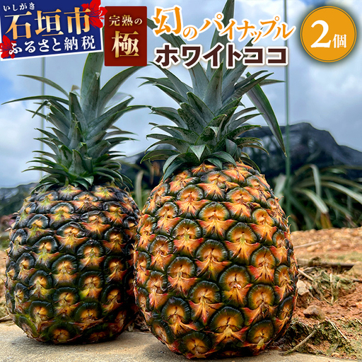 [先行予約] 最高糖度20度!? 完熟の極 石垣島産幻のパイナップル ホワイトココ2個セット