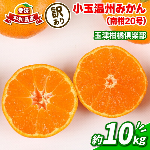 蜜柑 訳あり 小玉 温州みかん 南柑20号 10kg 玉津柑橘倶楽部 温州 みかん 小玉みかん 中生 甘い 果物 くだもの フルーツ 柑橘 mikan 愛媛蜜柑 愛媛みかん 愛媛ミカン ミカン わけあり サイズ 不揃い 産地直送 数量限定 国産 愛媛 宇和島 B010-072031