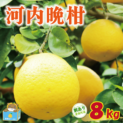 【先行予約】訳あり 河内晩柑 8kg +傷み保証1kg 8000円 愛媛県 愛南町 塚岡農園