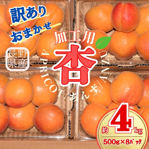 【2027年先行予約】訳あり あんず おまかせ加工用 計約4kg(約500g×8パック) | あんず
