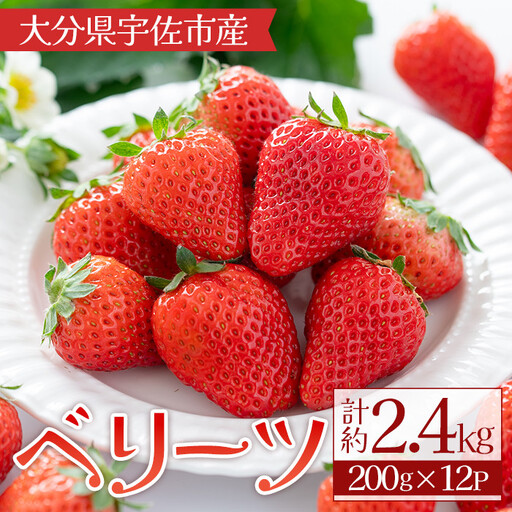 ＜10月1日から先行予約受付開始！＞＜2027年1月上旬～4月下旬の間に発送予定＞いちご(計約2.4kg・200g×12P)苺 イチゴ フルーツ 果物 くだもの 果実 ベリーツ【117900300】【Farm U.S.A.】