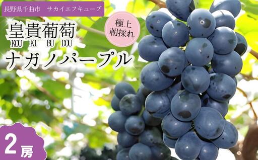 【2026年先行予約】ぶどう ナガノパープル 特秀品 加湿ハウス栽培 2房 |ナガノパープル特秀品
