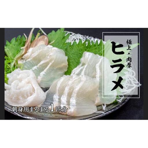 [ ヒラメ ] 極上ヒラメ 800g以上
