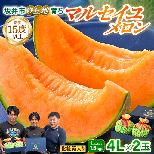 マルセイユメロン 4L 2玉 化粧箱入り 2027年6月中旬以降順次発送 メロン フルーツ 赤肉 贈答 ギフト [A-19107]