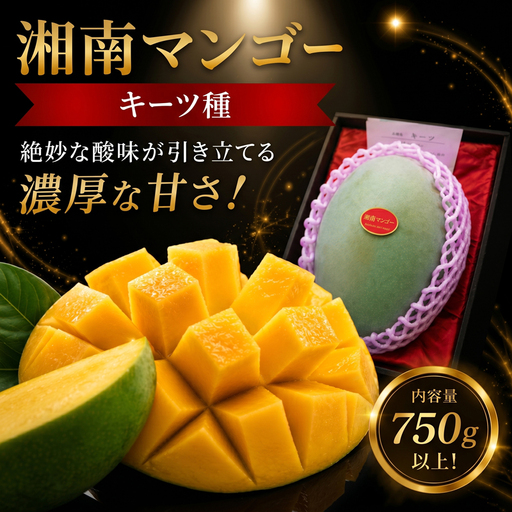 【令和8年発送】湘南マンゴー キーツ （750g以上） フルーツ マンゴー