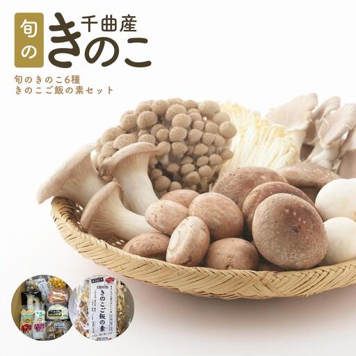 旬のきのこ6種+きのこご飯の素セット|きのこ