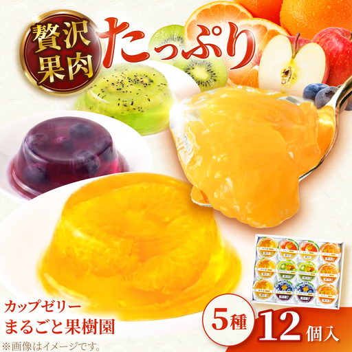 ゼリー カップゼリーまるごと果樹園詰め合わせ 5種12個セット( 伊予柑 みかん りんご キウイフルーツ ブルーベリー )/ 柑橘 果肉 果実 果汁 果物 フルーツ 国産 愛媛県産 スイーツ おやつ ギフト お中元 / 愛媛県砥部町/えひめ中央農業協同組合[BJCG010]