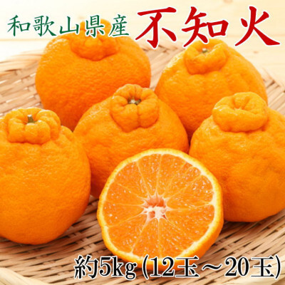 和歌山県産不知火約5kg(12玉〜20玉おまかせ) ※2027年2月下旬〜2027年3月下旬頃に順次発送予定(日付指定不可)[tec955]