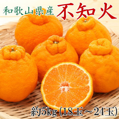和歌山県産不知火約5kg（18玉～24玉おまかせ） ※2027年2月下旬～2027年3月下旬頃に順次発送予定（日付指定不可）【tec956】
