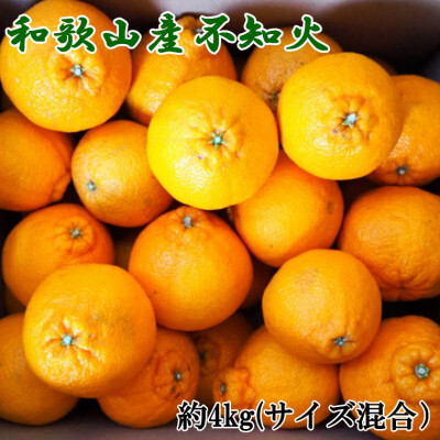 和歌山県産不知火約4kg(サイズ混合) ※2027年2月下旬〜2027年3月下旬頃に順次発送予定(日付指定不可)[tec957]