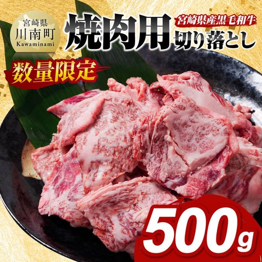 牛肉 【数量限定】宮崎県産黒毛和牛焼肉用切り落とし500g 牛肉