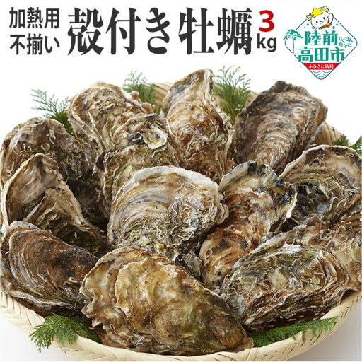 牡蠣 訳あり 加熱用 殻付き牡蠣３kg 冷凍