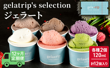 ジェラート gelatrip 北海道産 ジェラート【12個】【12ヵ月定期便】