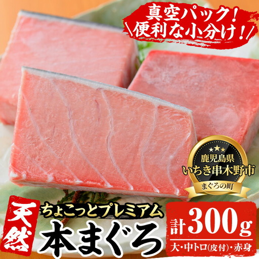 まぐろ♪ 本まぐろ 300g (大トロ&中トロ&赤身)天然 [00-041-10]