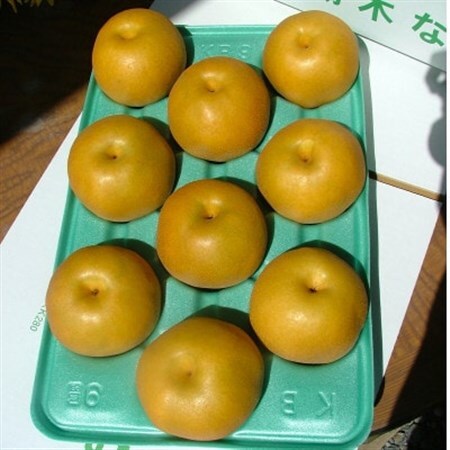 栃木県小山市産「梨」豊水　5kg【1515773】