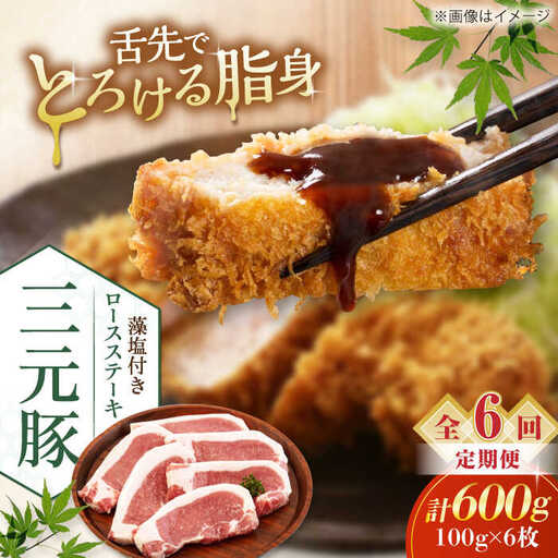 【全6回定期便】平田牧場 ロース ステーキ 600g  (100g×6枚) ※藻塩付 豚肉 とんかつ 生姜焼き[AJAP024]