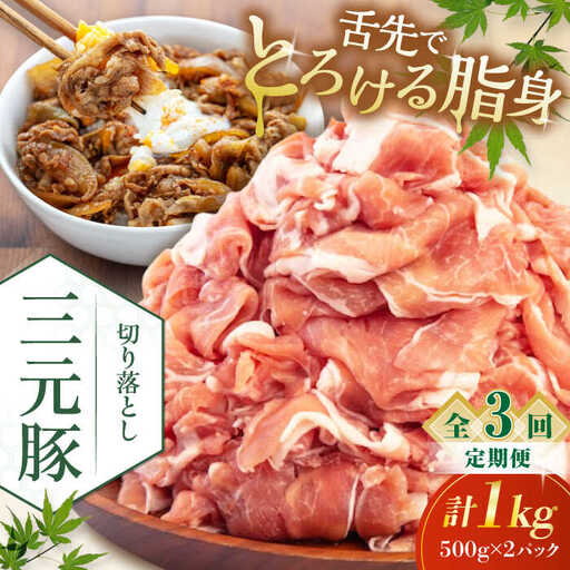 【全3回定期便】平田牧場 切り落とし 1kg (500g×2P)  豚肉 切り落とし 小分け [AJAP031]
