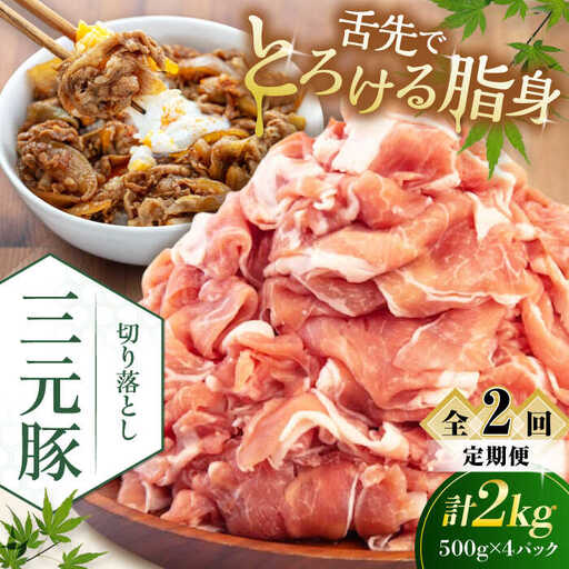 【全2回定期便】平田牧場 切り落とし 2kg (500g×4P)  豚肉 切り落とし 小分け [AJAP034]