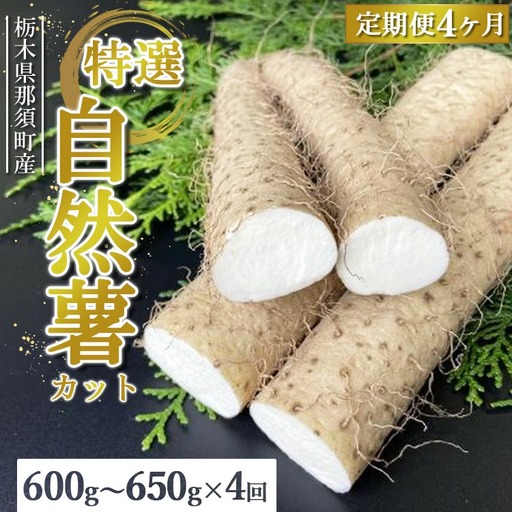 【定期便4ヵ月】那須町産 自然薯（カット）600g～650g | とろろ 贈り物 お土産 グルメ 美味しい おいしい 食べ物 那須 栃木県 那須町〔P-214〕 ※2026年12月～発送