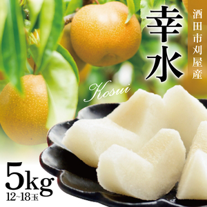 SB0931　刈屋梨　幸水　約5kg(12～18玉入)