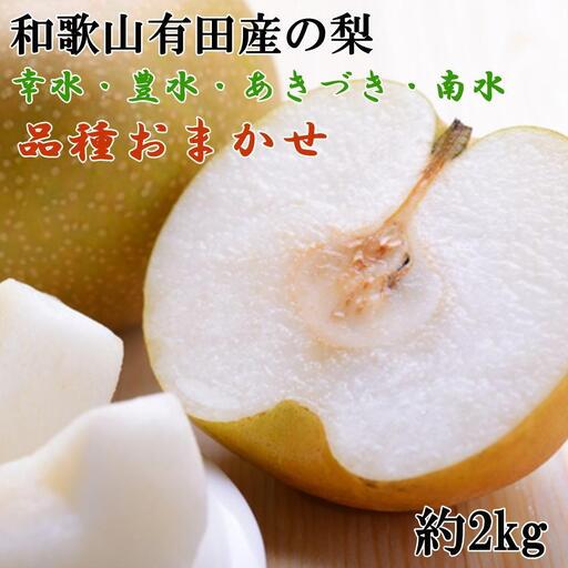 【産直】和歌山有田産の梨約2kg（品種おまかせ）★2026年8月上旬頃より順次発送