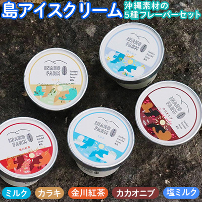 『島アイスクリーム』やんばる産グラスフェッドジャージー牛乳の無添加アイス＜沖縄素材の5種フレーバーセット＞（合計550ml：5個入） ミルク 金川紅茶 カカオニブ カラキ 塩ミルク ジャージー アイス 美味しい おいしい 牛乳 おやつ 子ども こども 贅沢 カップ 冷凍 夏 名護市 なご おきなわ