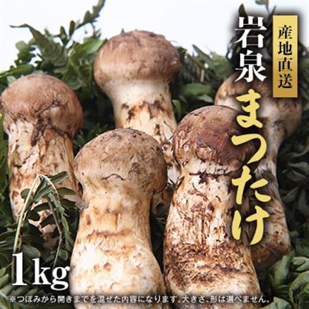 【2026秋発送】岩泉まつたけ 直送 1kg_野菜 松茸 きのこ まつたけ マツタケ_【配送不可地域：離島】【1423373】