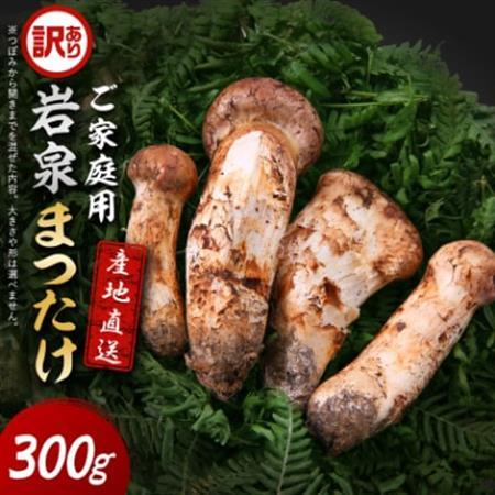 [2026秋発送][訳あり]ご家庭用 岩泉まつたけ 直送 300g_野菜 松茸 きのこ まつたけ マツタケ_[配送不可地域:離島]