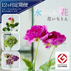 [12回定期便]水のいらない花 ゼロフラワー定期便「花いちりん」