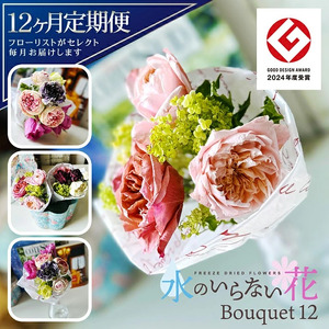 [12回定期便]水のいらない花 ゼロフラワー定期便「Bouquet12」