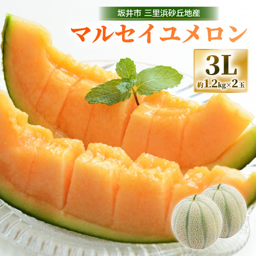 マルセイユメロン 2玉 (1玉 約1.2kg前後) 2027年6月中旬以降順次発送 めろん フルーツ [A-19008]