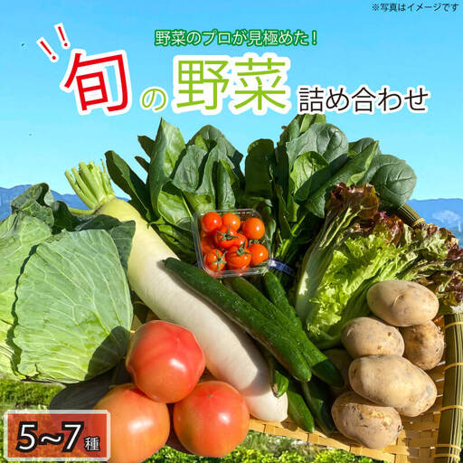 新鮮 旬の野菜セット 5から7品目 野菜詰合せ 新鮮野菜 季節野菜 セット野菜 野菜 野菜